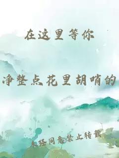 在这里等你