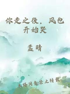 你走之後，风也开始哭